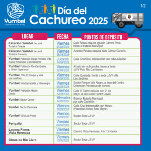 DÍA CACHUREO