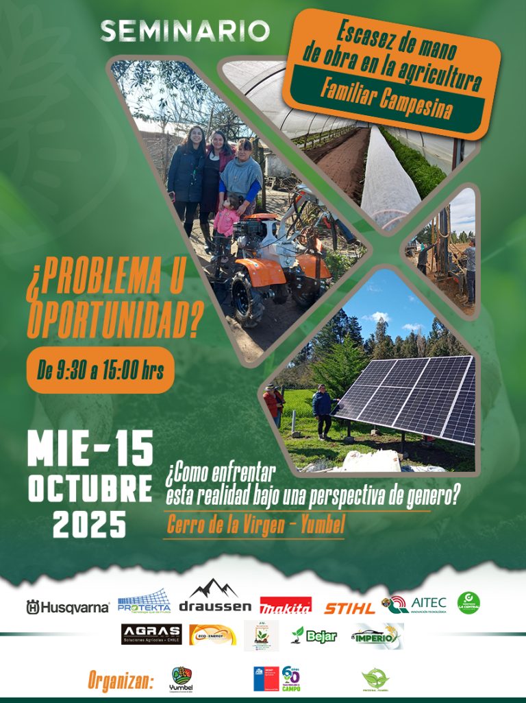 flayer prodesal copia